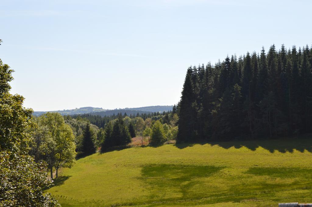 Logis Hotel Le Relais Du Bois Vialotte Le Chambon-sur-Lignon Exteriör bild
